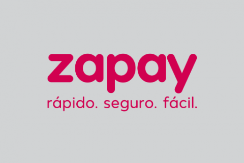 zapay-480x321