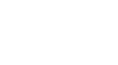 logo_Fundo-Anjo